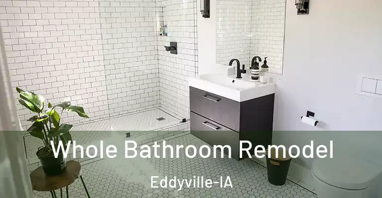 inner Bathroom imggen Whole Bathroom Remodel Eddyville-IA
