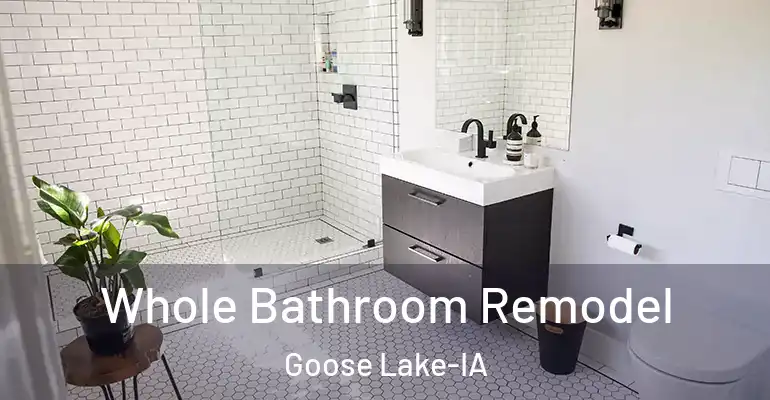 inner Bathroom imggen Whole Bathroom Remodel Goose Lake-IA