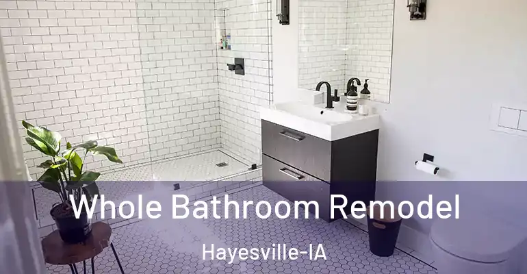 inner Bathroom imggen Whole Bathroom Remodel Hayesville-IA