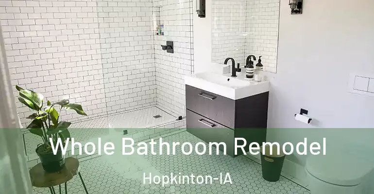inner Bathroom imggen Whole Bathroom Remodel Hopkinton-IA