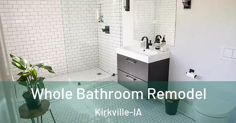 inner Bathroom imggen Whole Bathroom Remodel Kirkville-IA