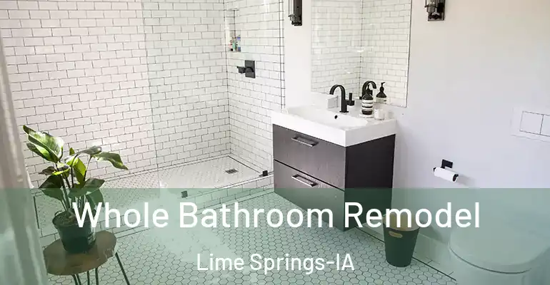 inner Bathroom imggen Whole Bathroom Remodel Lime Springs-IA