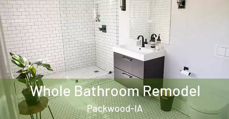 inner Bathroom imggen Whole Bathroom Remodel Packwood-IA