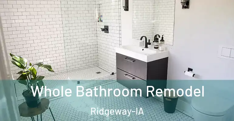 inner Bathroom imggen Whole Bathroom Remodel Ridgeway-IA