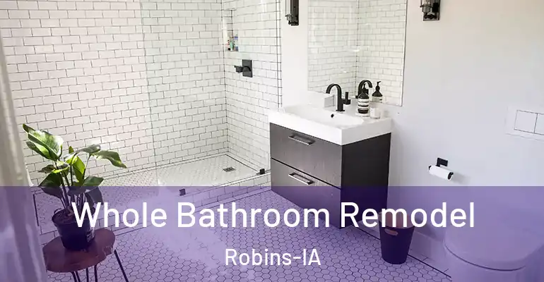 inner Bathroom imggen Whole Bathroom Remodel Robins-IA