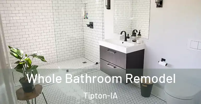 inner Bathroom imggen Whole Bathroom Remodel Tipton-IA