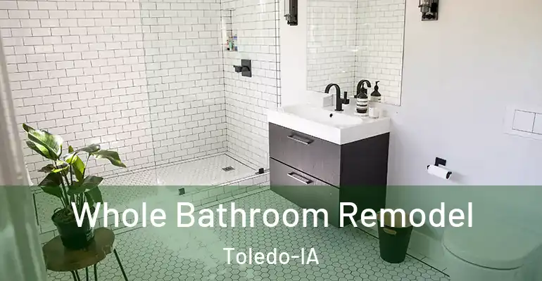 inner Bathroom imggen Whole Bathroom Remodel Toledo-IA