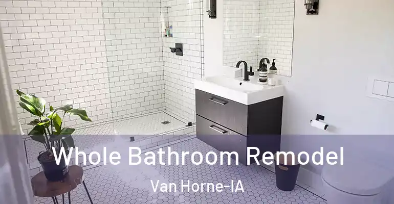 inner Bathroom imggen Whole Bathroom Remodel Van Horne-IA