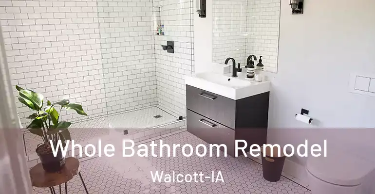 inner Bathroom imggen Whole Bathroom Remodel Walcott-IA