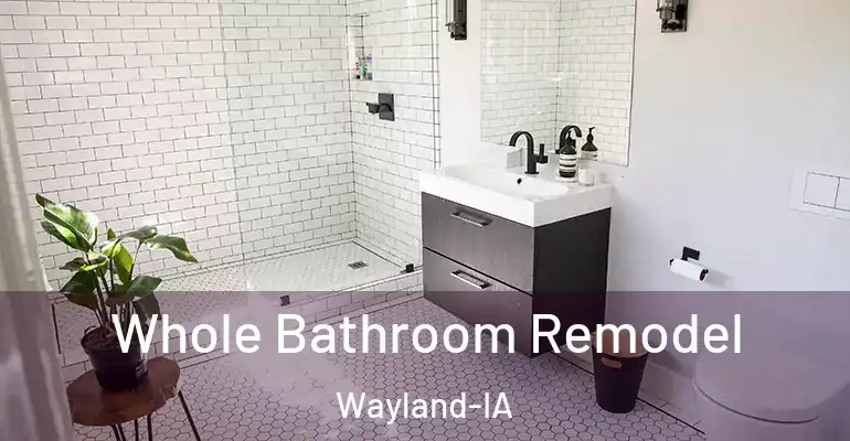 inner Bathroom imggen Whole Bathroom Remodel Wayland-IA