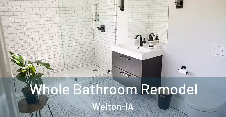 inner Bathroom imggen Whole Bathroom Remodel Welton-IA